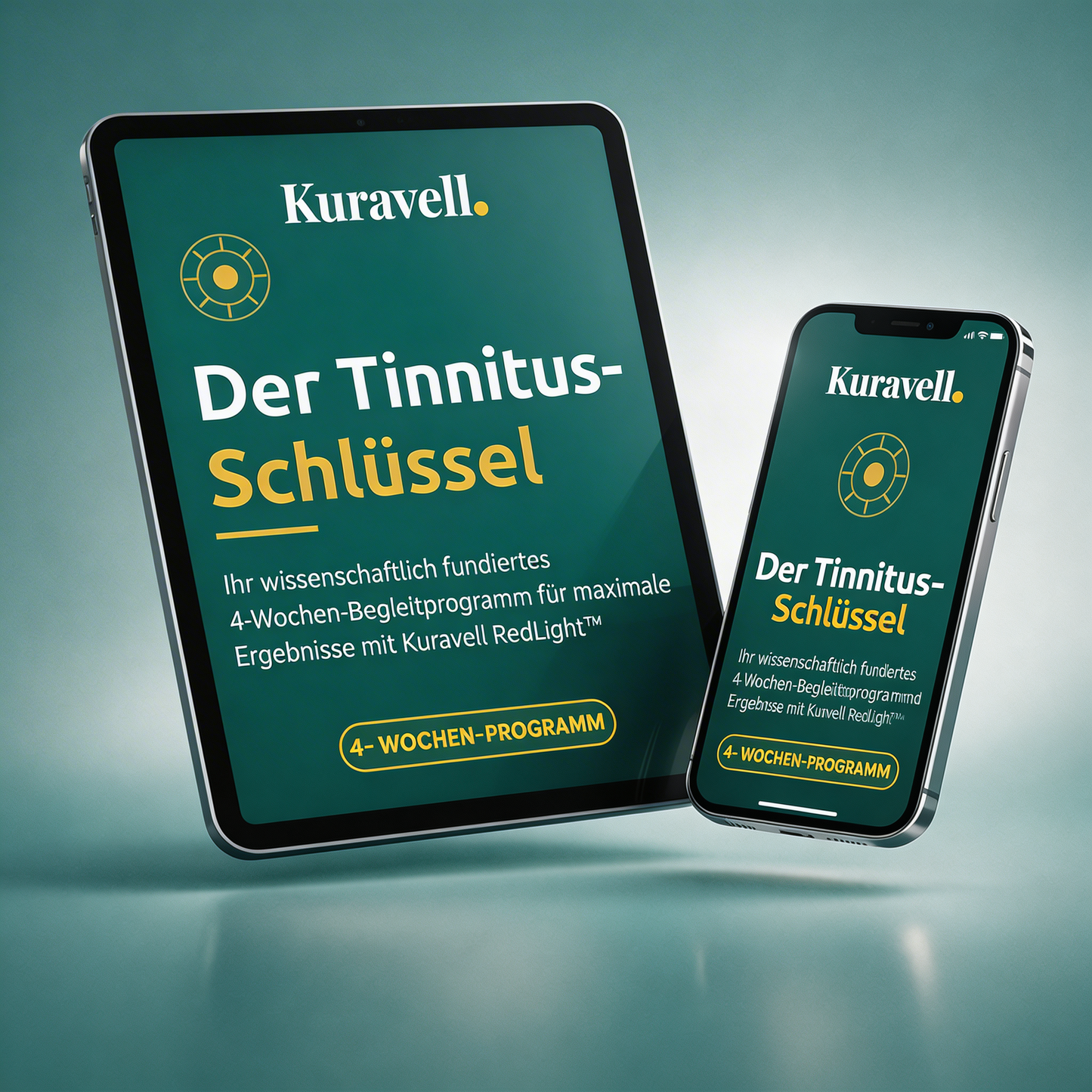 Band 1 : "Der Tinnitus Schlüssel"